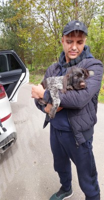 Новые владельцы